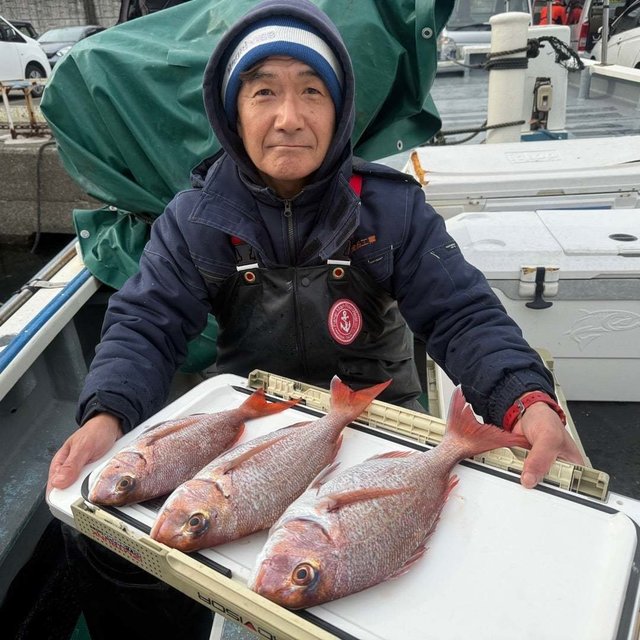 コダイ(マダイ)