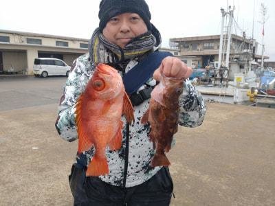 キントキ(チカメキントキ)・メバル