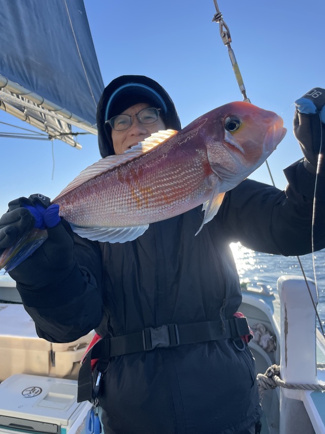 アマダイ(アカアマダイ)