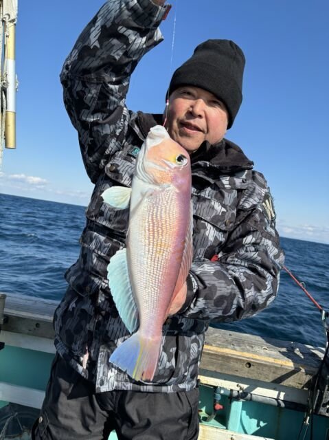 アマダイ(アカアマダイ)