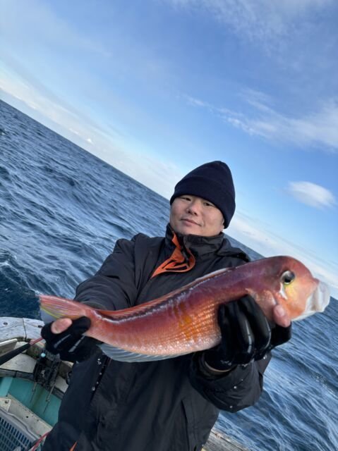 アマダイ(アカアマダイ)