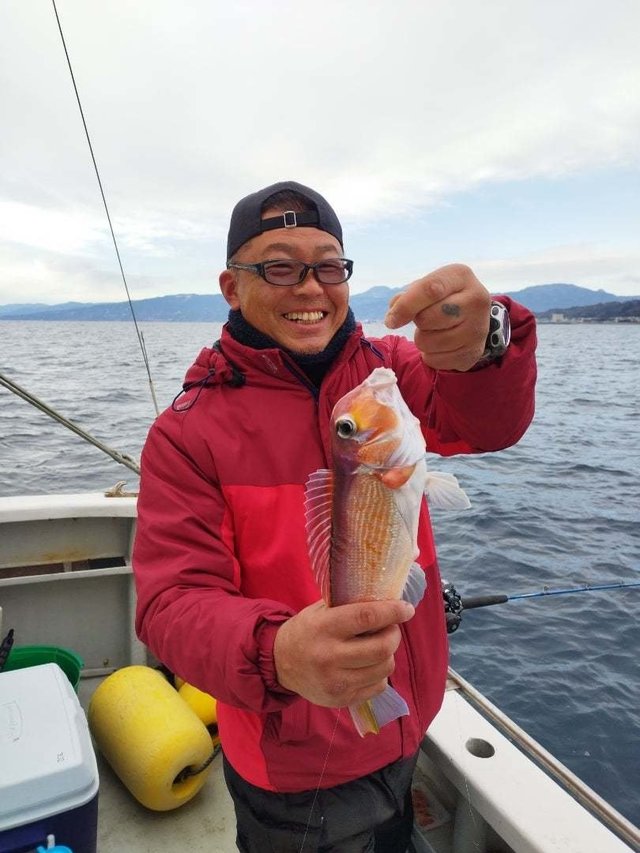 アマダイ(アカアマダイ)