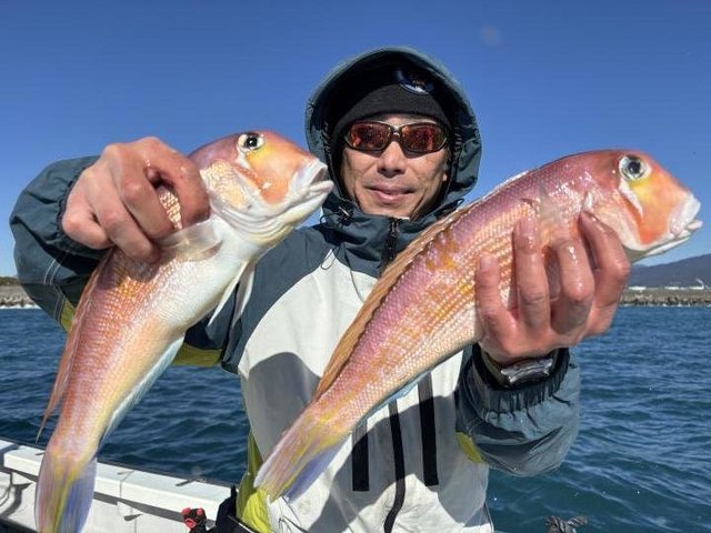 アマダイ(アカアマダイ)