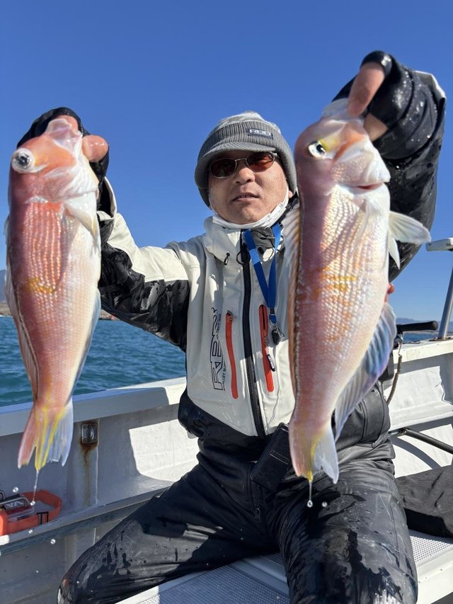 アマダイ(アカアマダイ)