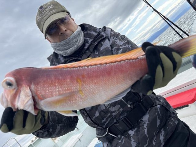 アマダイ(アカアマダイ)