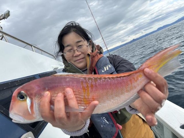 アマダイ(アカアマダイ)