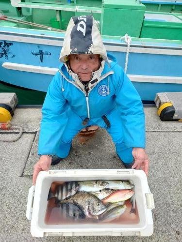 マダイ・イシダイ・アジ(マアジ)