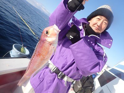 アマダイ(アカアマダイ)