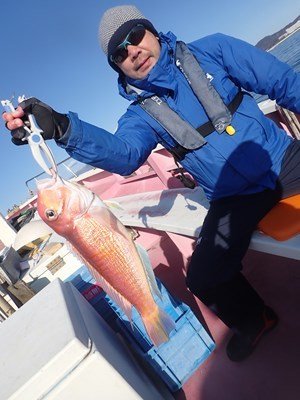 アマダイ(アカアマダイ)