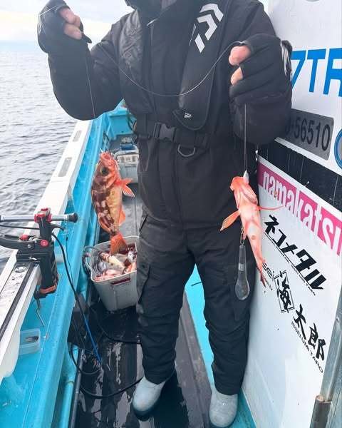 オキメバル(ウスメバル)