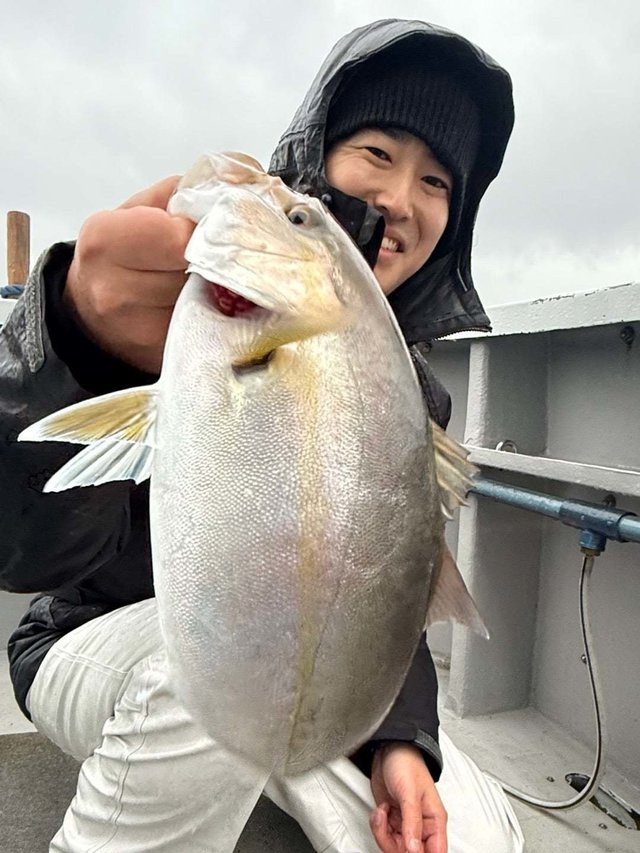 ショゴ(カンパチ)