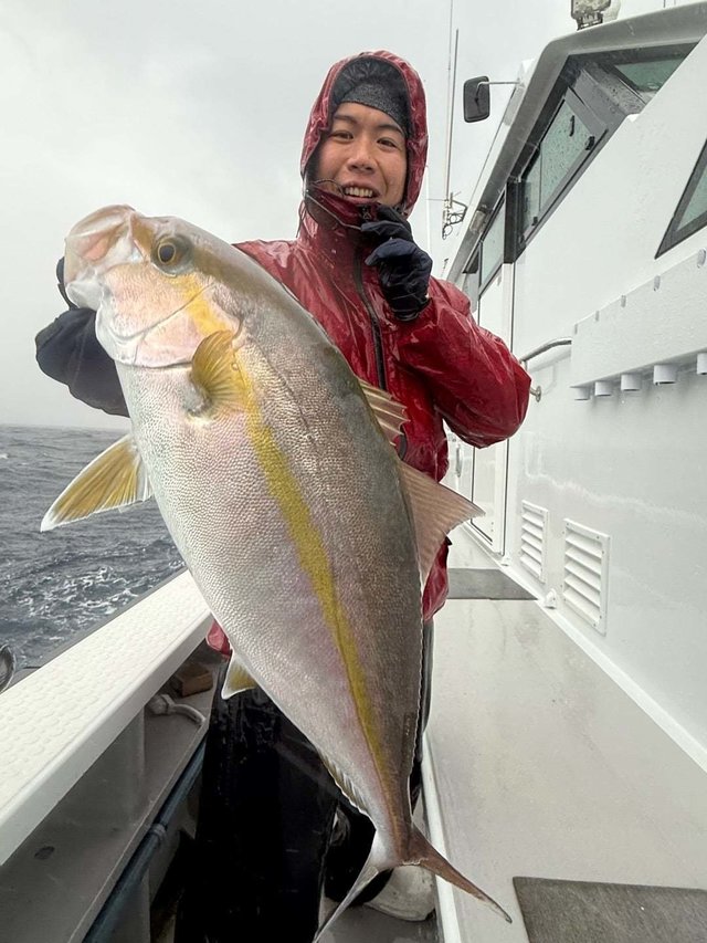 ショゴ(カンパチ)