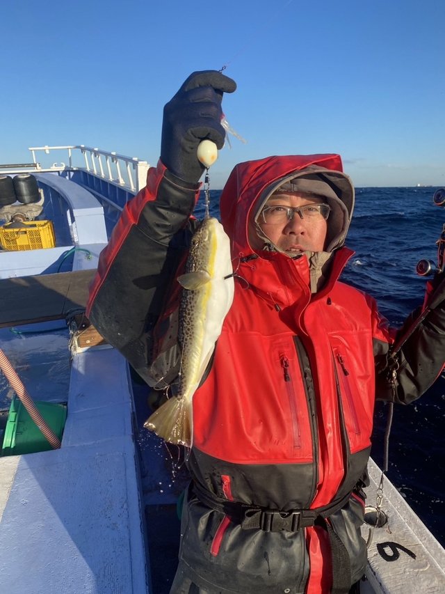 ショウサイフグ