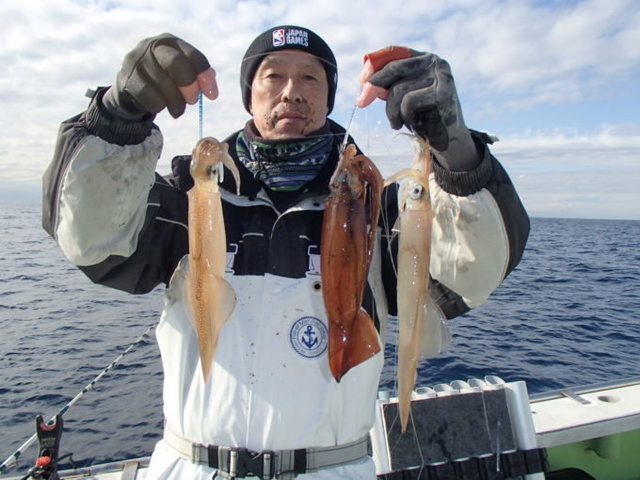 ヤリイカ・スルメイカ