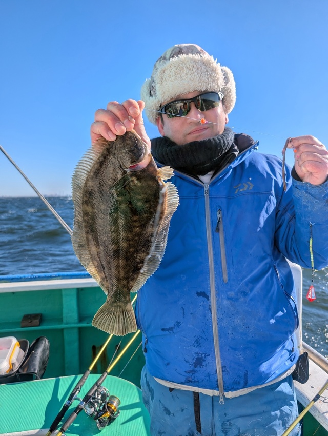 カレイ(マコガレイ)