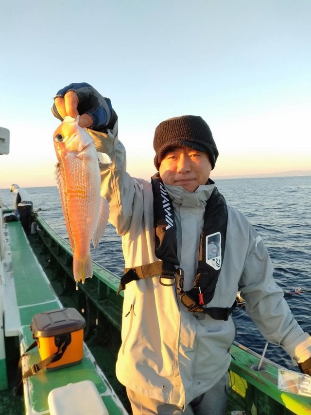 アマダイ(アカアマダイ)