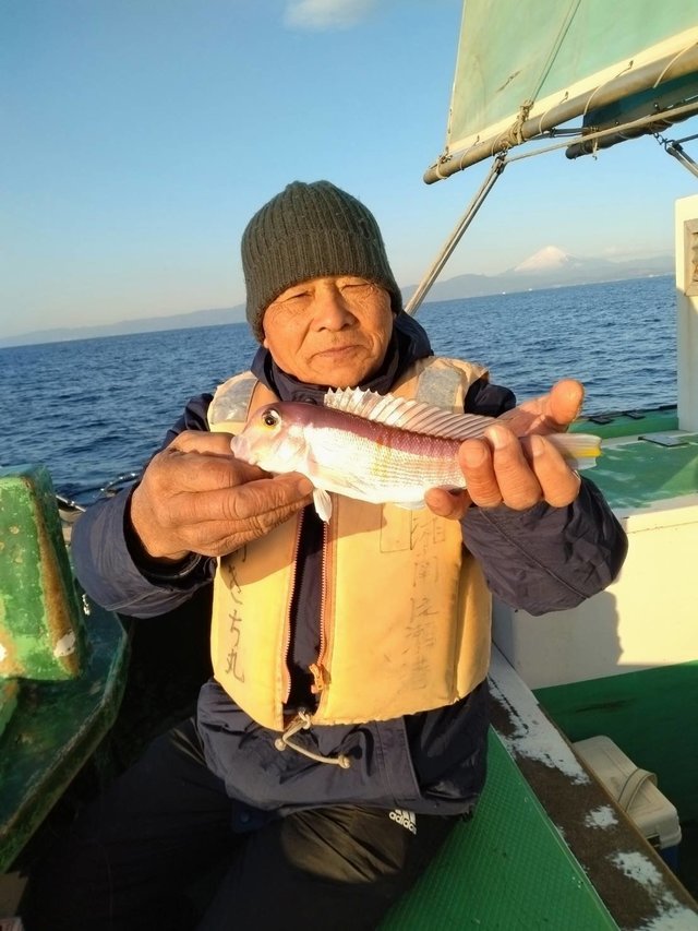 アマダイ(アカアマダイ)