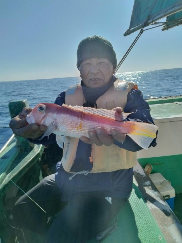 アマダイ(アカアマダイ)