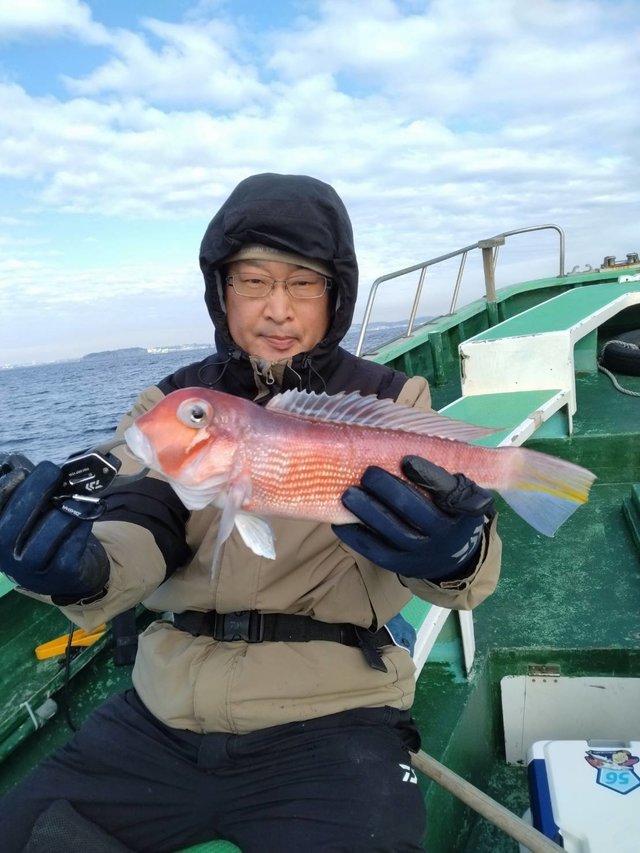 アマダイ(アカアマダイ)