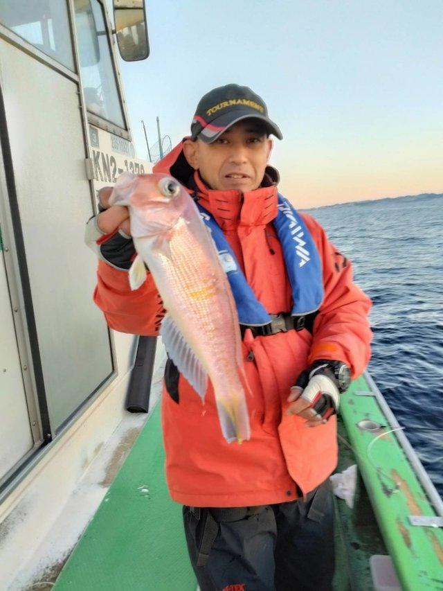 アマダイ(アカアマダイ)