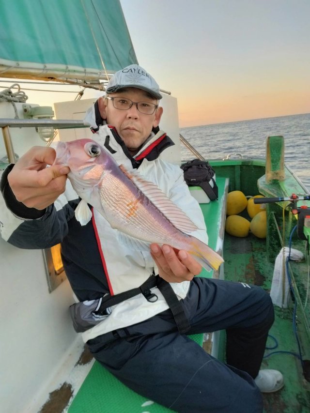 アマダイ(アカアマダイ)