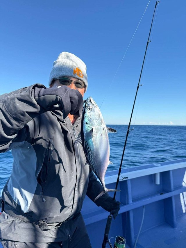 スマガツオ(スマ)