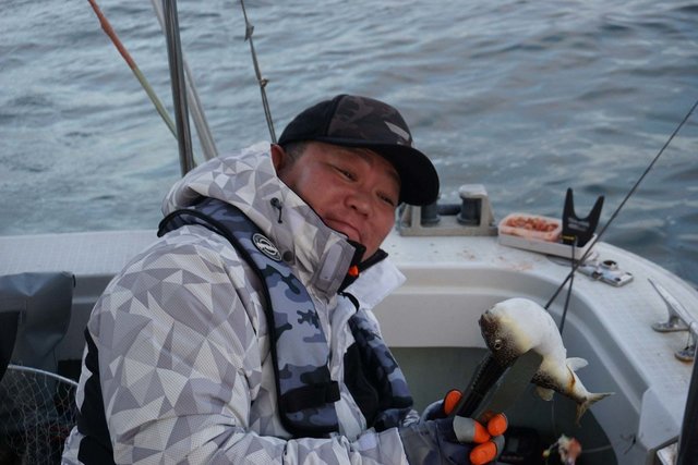 ショウサイフグ