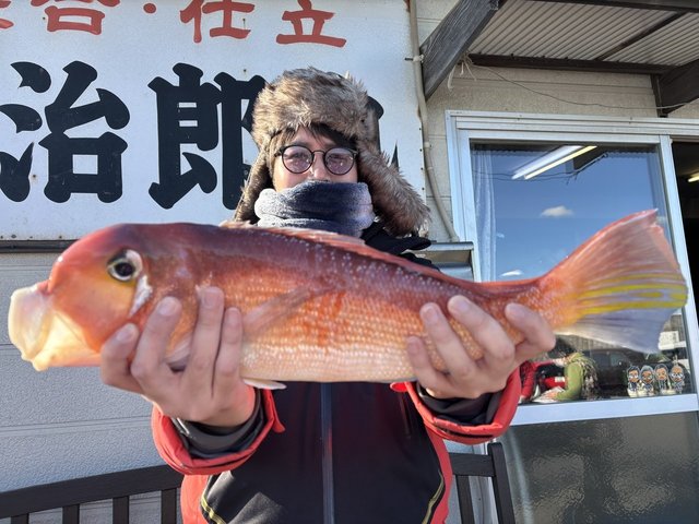 アマダイ(アカアマダイ)