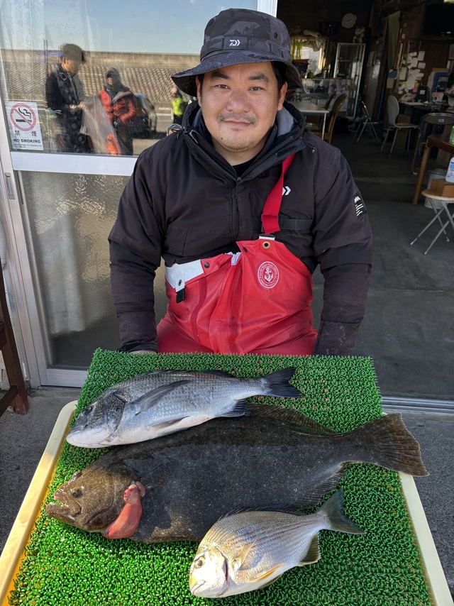 ヘダイ・ヒラメ