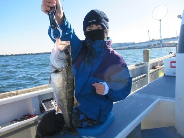 シーバス(スズキ)