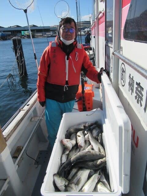 シーバス(スズキ)