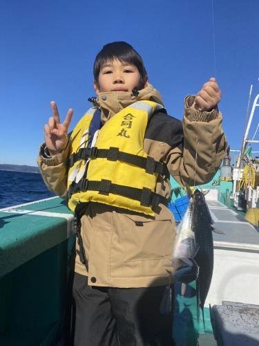 サバ(ゴマサバ)