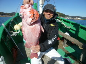 ベニアコウ(オオサガ)