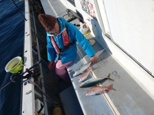 マダイ・イナダ(ブリ)