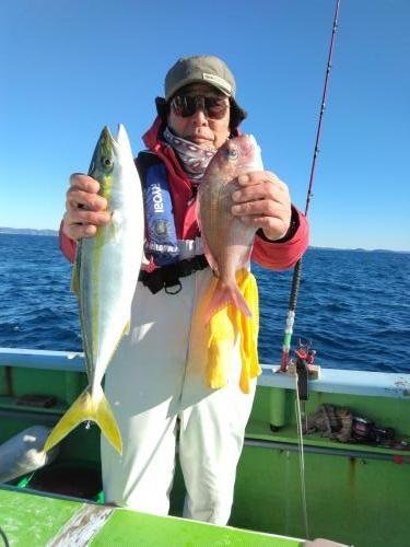 マダイ・イナダ(ブリ)