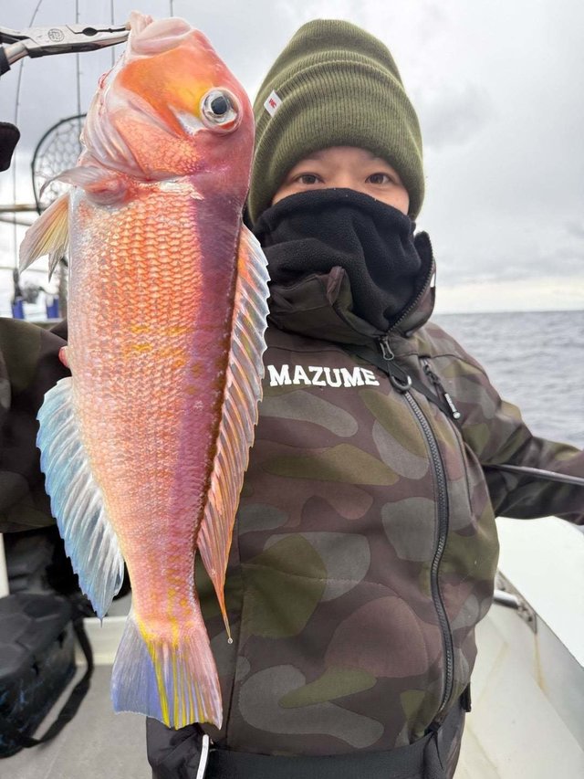 アマダイ(アカアマダイ)