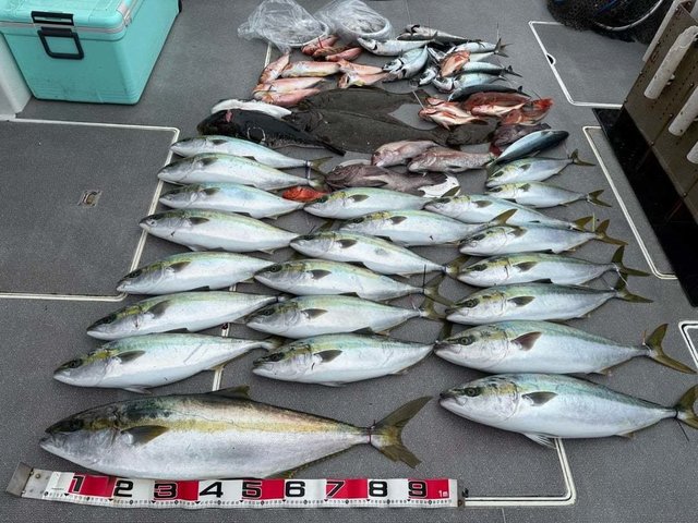 マダイ・ヒラマサ・アマダイ(アカアマダイ)・ヒラメ