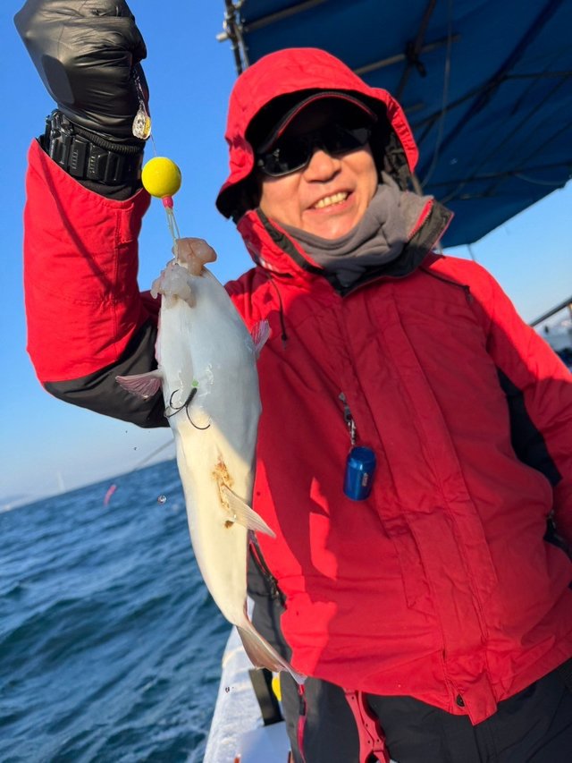 フグ(ショウサイフグ)