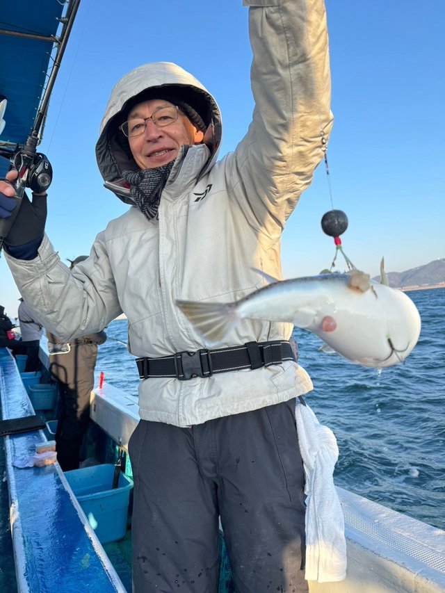 フグ(ショウサイフグ)