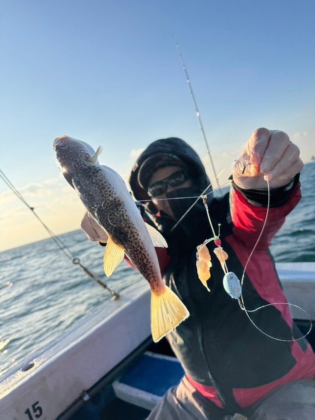 フグ(ショウサイフグ)