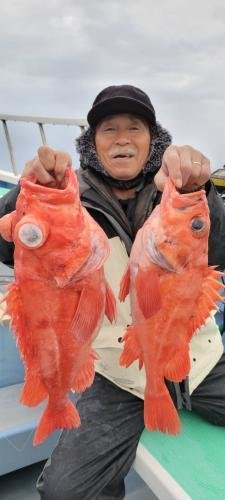 メヌケ(アコウダイ)