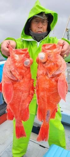 メヌケ(アコウダイ)