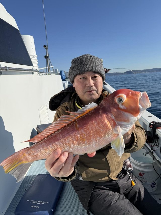 アマダイ(アカアマダイ)