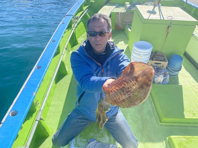 アオリ(アオリイカ)