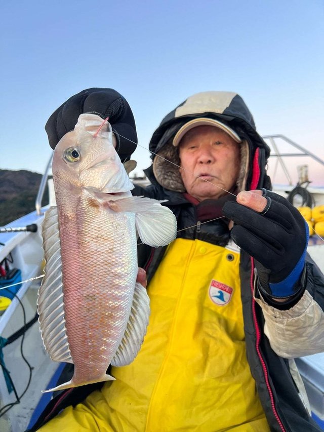 アマダイ(アカアマダイ)