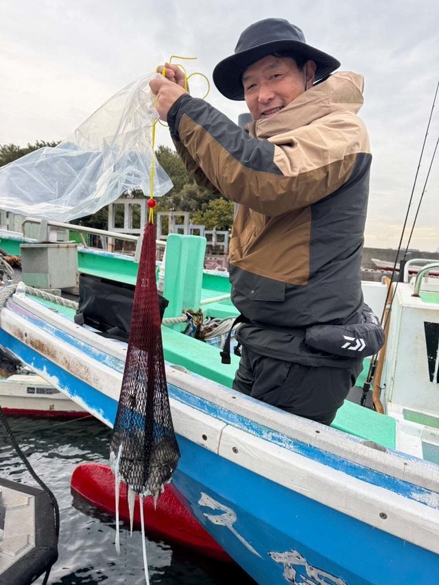 モンゴウイカ(カミナリイカ)