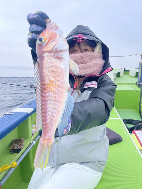 アマダイ(アカアマダイ)