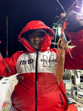 マイカ(ケンサキイカ)