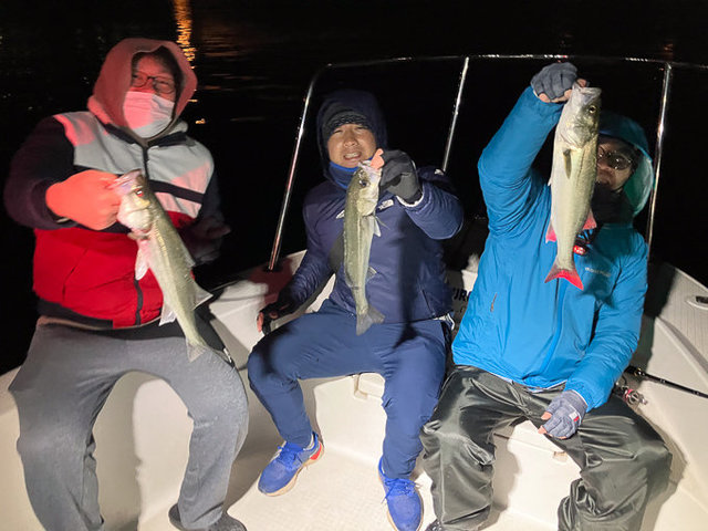 シーバス(スズキ)