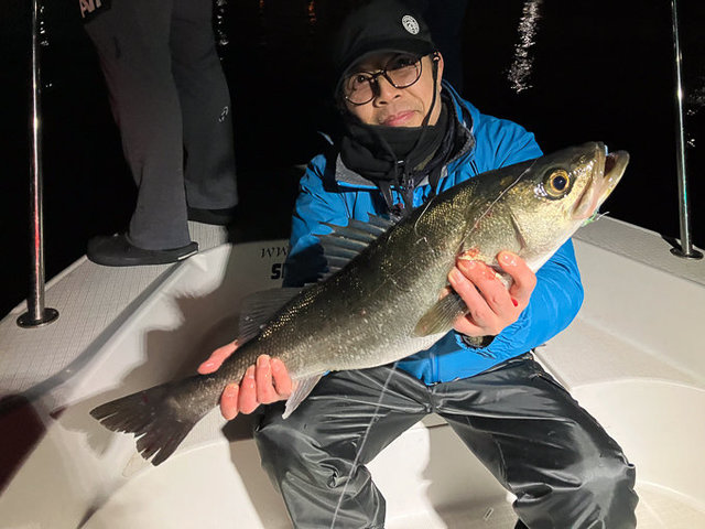 シーバス(スズキ)